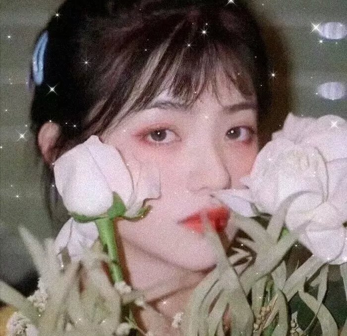 罗小黑战记